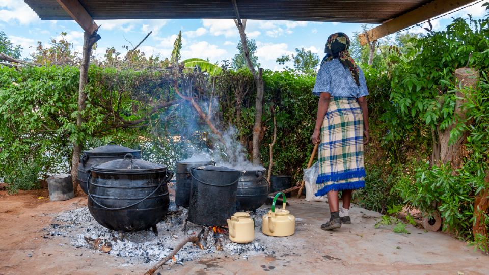 Woman cooking with biomass 